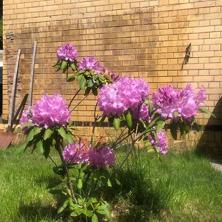 Lägenhet Alte Bahnstation Leipzig