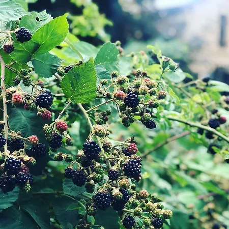 Alte Bahnstation * Leipzig