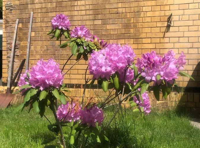 公寓 莱比锡阿尔特巴斯塔希公寓（two＆one公寓） 莱比锡